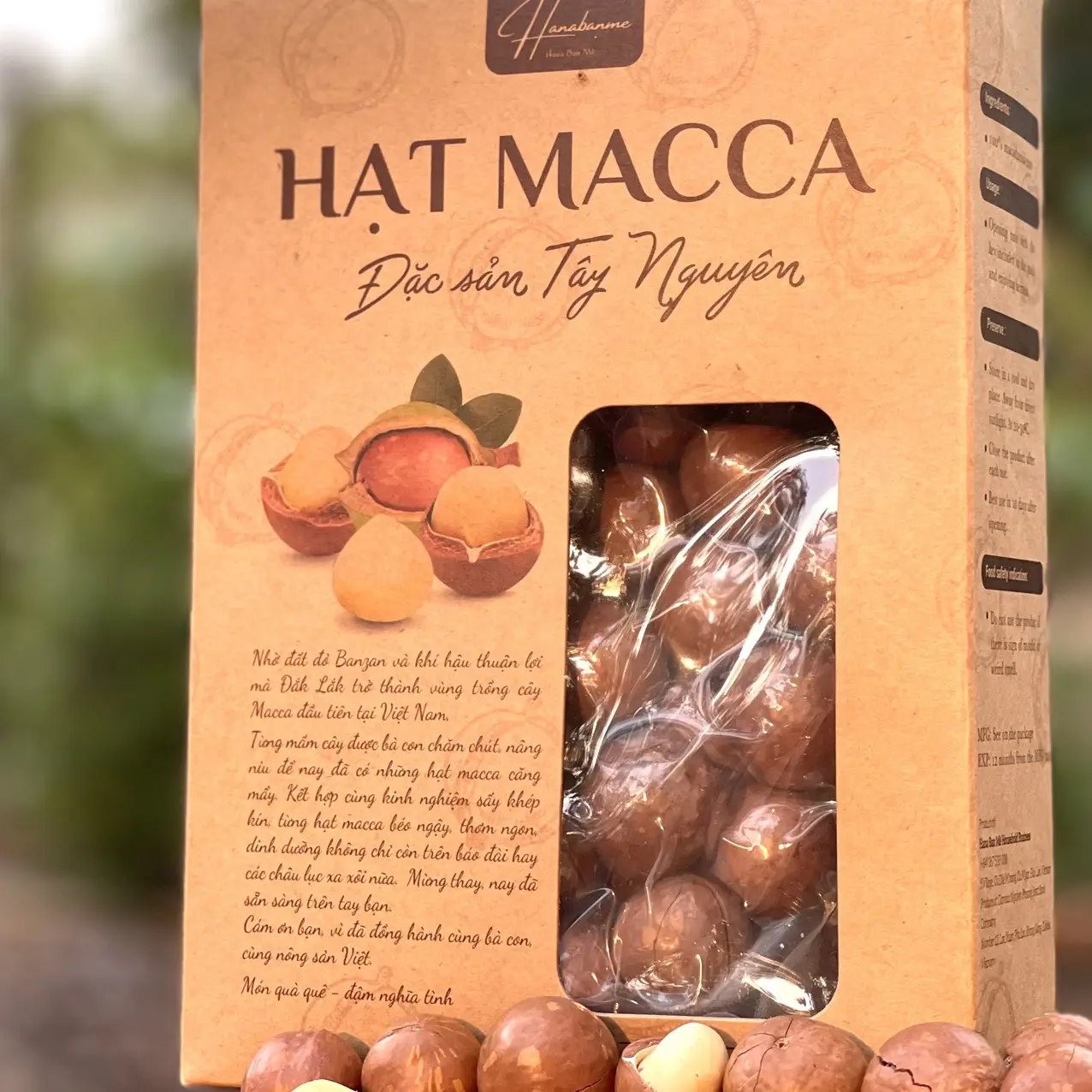 Hạt Mắc Ca Đắk Lắk size trung