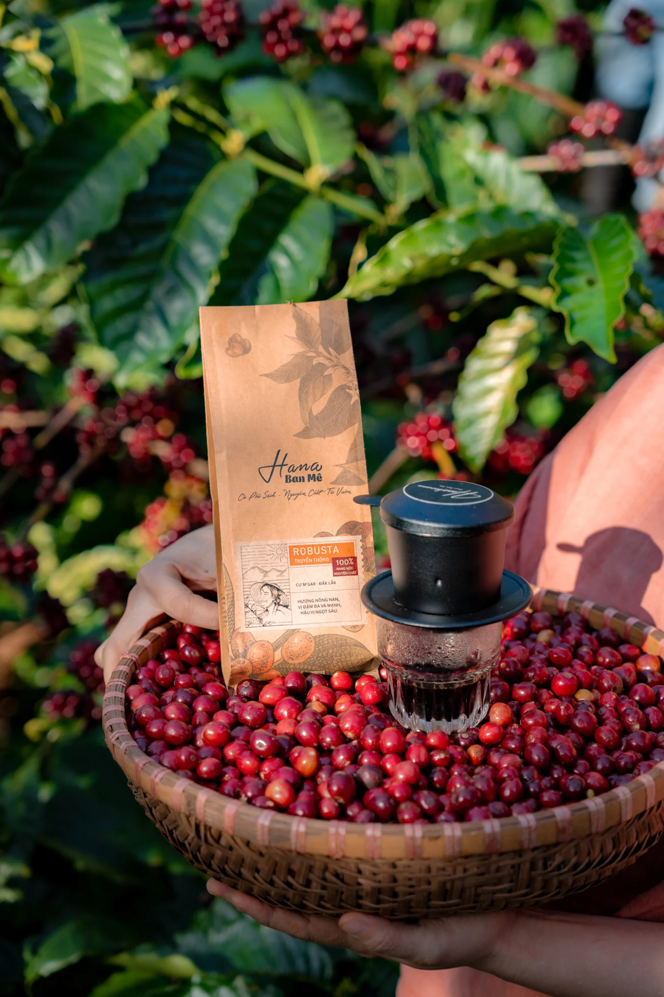 Cà phê nguyên chất Arabica Cầu Đất