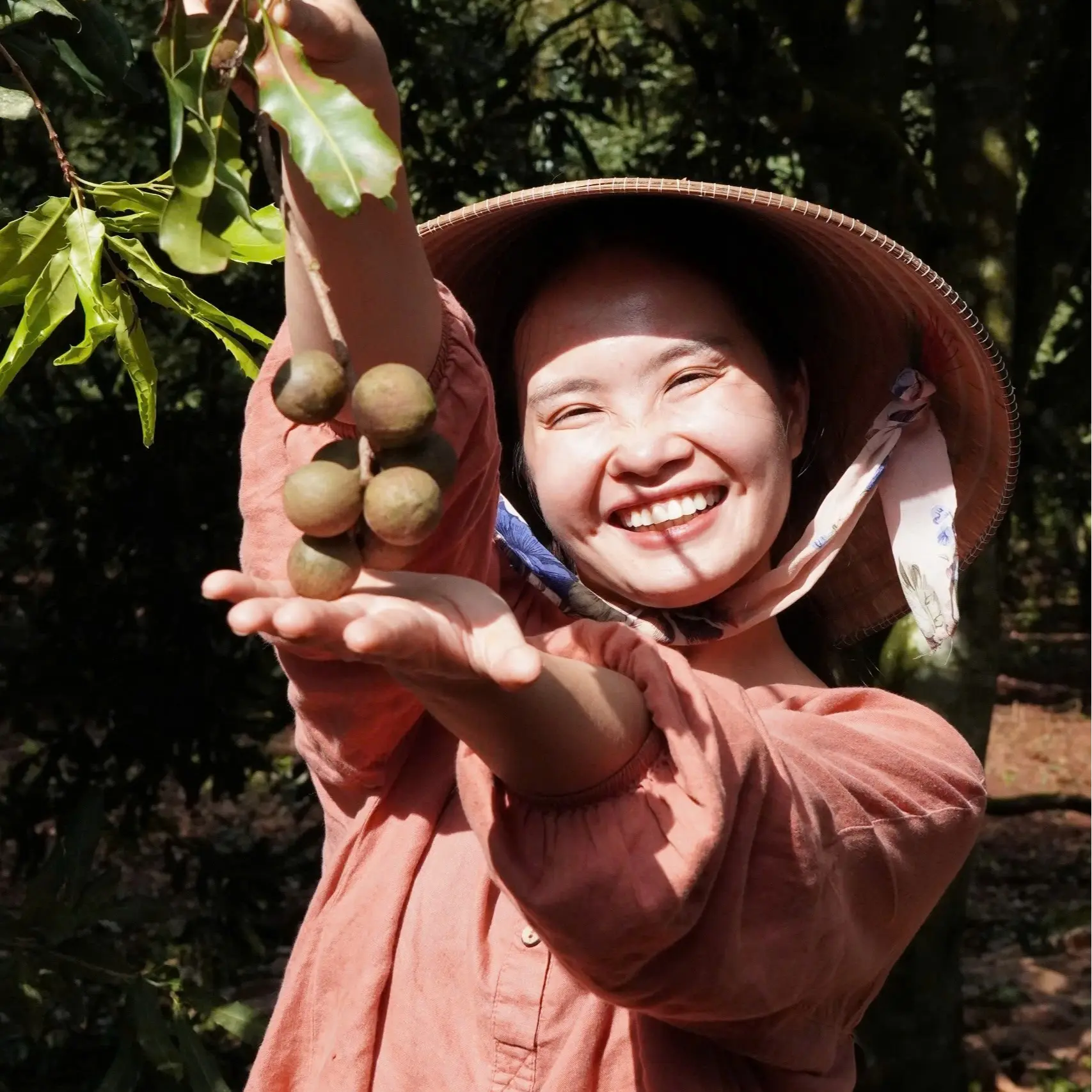 Hạt Mắc Ca Đắk Lắk size đại