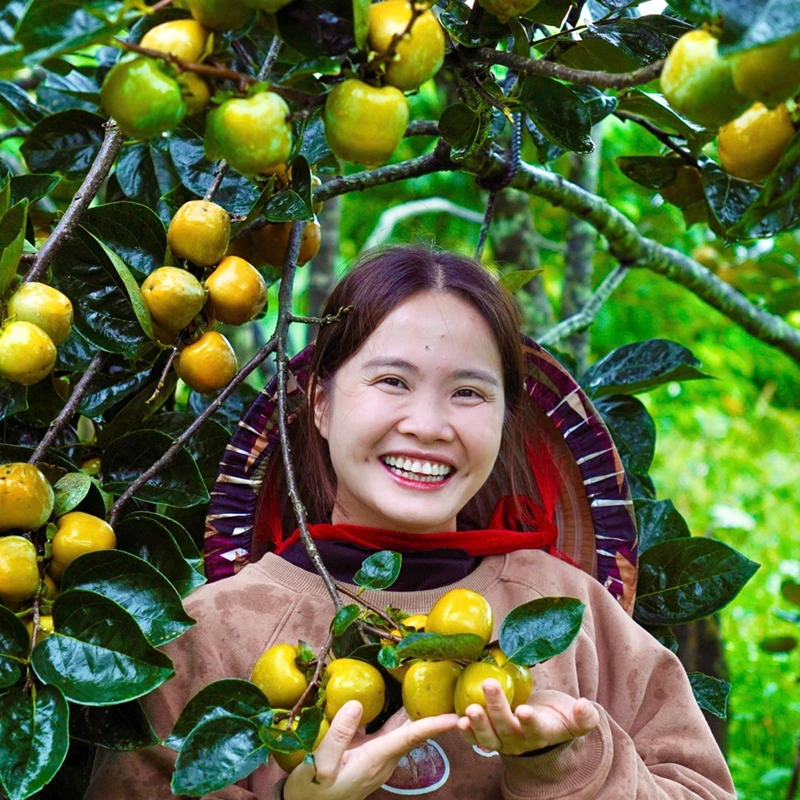Hồng giòn Chín Nên